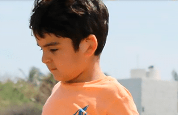 Equinoterapia para autismo- Mauro Pulido Fernández
