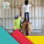 Psicoterapia y aprendizaje con caballos